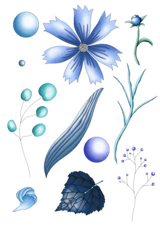 Set of blue flowers and plants on a white background. Vector illustration.の写真素材