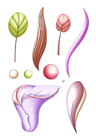 Illustration of a set of different leaves on a white background.の写真素材