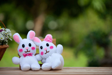 White rabbit doll loverの写真素材