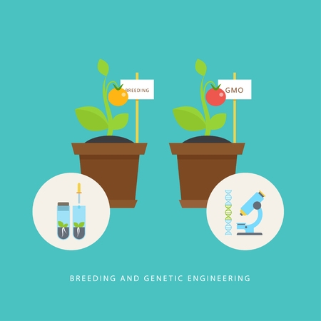 Breeding and genetic engineering. Vector concept of plants, vials, molecule DNA, microscope in the flat style. Concept perfect for agricultural or scientific brochures, infographic, other materials.のイラスト素材