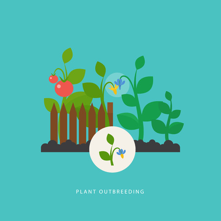 Plant outbreeding. Vector scene which show crossing of different types of plant. Flat style. Perfect for agricultural or scientific brochures, infographic, other materials.のイラスト素材