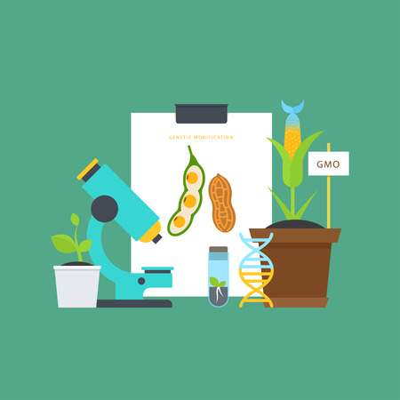 Genetic engineering. Simple botanical concept with vials, seedlings, plants, a microscope, a DNA molecule. Perfect for agricultural or scientific brochures, infographic, other materials.のイラスト素材