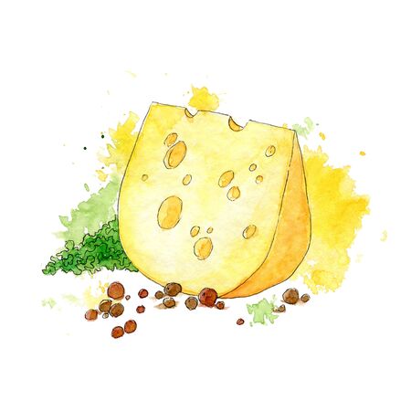 Colorful watercolor illustration of cheese, green leaf and pepper peas. Hand drawn a sketch with splashes and spots.の写真素材