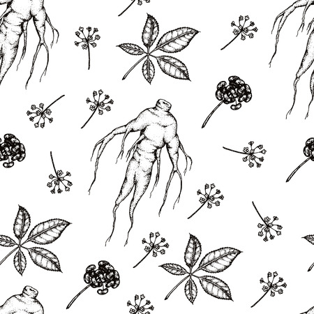 Seamless pattern. Vector hand drawn illustration of Panax Ginseng.Root, leaf, berry, flower.のイラスト素材
