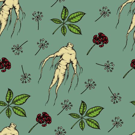 Seamless pattern. Vector hand drawn illustration of Panax Ginseng.Root, leaf, berry, flower.のイラスト素材