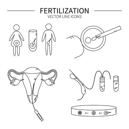 Fertilization line icons set isolated vector illustration.のイラスト素材