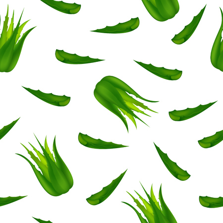 Seamless pattern of Aloe Vera.Aloe vector illustration.のイラスト素材