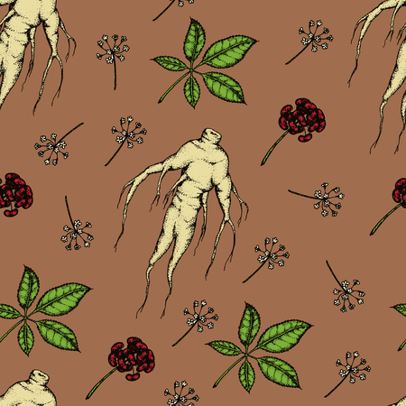 Seamless pattern. Vector hand drawn illustration of Panax Ginseng.Root, leaf, berry, flower.のイラスト素材