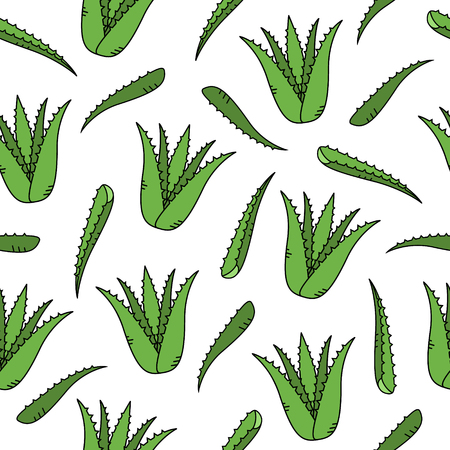 Seamless pattern of Aloe Vera.Aloe vector illustration.のイラスト素材