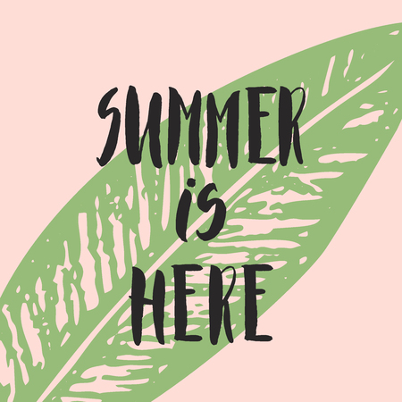 Summer is here. Hand drawn card with tropical leaf and lettering.のイラスト素材
