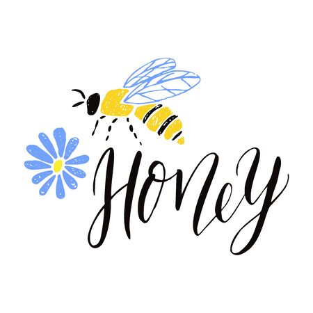 Honey label with hand drawn lettering, bee, flower.のイラスト素材