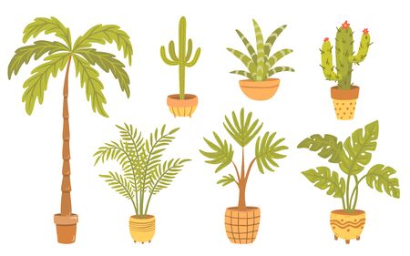 Set of tropical plants in pots.のイラスト素材