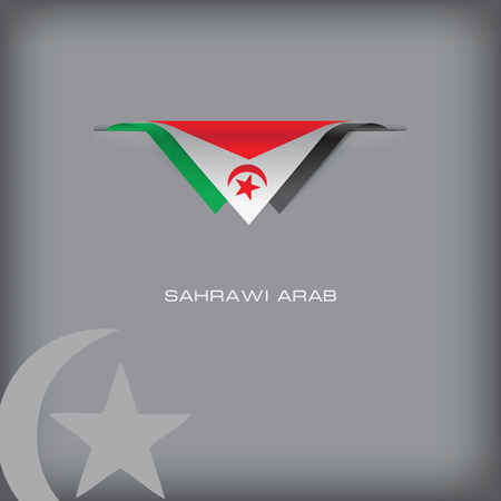 The combination of colors of the national flag Sahrawi Arab.のイラスト素材