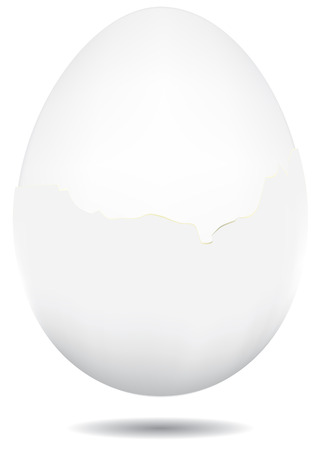A boiled egg in a white shell, an egg partially peeled from the shell.のイラスト素材