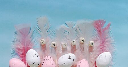 Flat lay composition easter pink eggs with feathers on mint backdrop. Greeting card or banner...