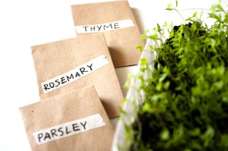 Paper bags of seeds parsley , rosemary , thyme. Herbal garden for balcony in apartment. Green...