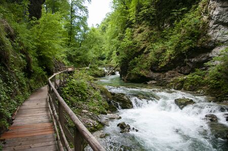Beautiful view of mountain river, sun light through the trees, traveling in Slovenia, Vintgar. Holidays in Europe. Selective focus.の写真素材