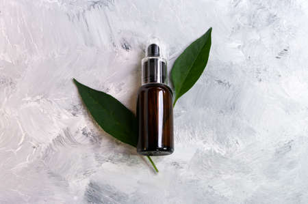 Essential tea tree oil. Glass dropper and green leaves. Copy space for text. Natural cosmetic care.の写真素材