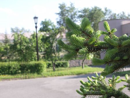 Cityscape beauty of the cityの写真素材