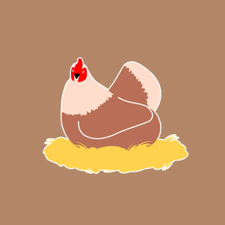 The chicken is sitting on the nest. Vector illustration.のイラスト素材