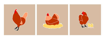 Set of vector images of hen, chickens and rooster. Three in one.のイラスト素材