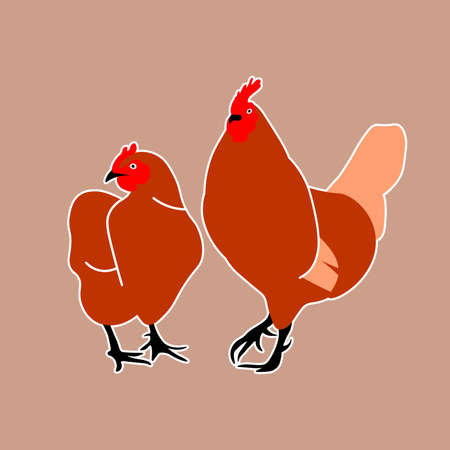 Brown rooster and hen. Hand-drawn trendy color vector illustration. Cartoon style. Isolated flat design.のイラスト素材