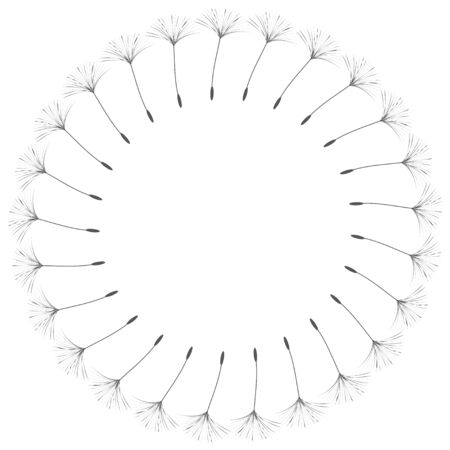 Abstract frame of a dandelion for design. The wind blows the seeds of a dandelion. Template for posters, postcards. Vector illustrations.のイラスト素材