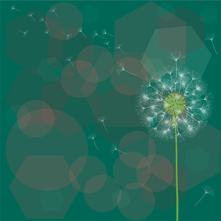 Abstract background of a dandelion for design. The wind blows the seeds of a dandelion. Template for posters, wallpapers, posters. Vector illustrations.のイラスト素材