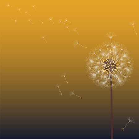 Abstract background of a dandelion for design. The wind blows the seeds of a dandelion. Template for posters, wallpapers, posters. Vector illustrations.のイラスト素材