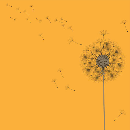 Abstract background of a dandelion for design. The wind blows the seeds of a dandelion. Template for posters, wallpapers, posters. Vector illustrations.のイラスト素材