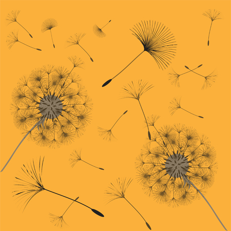 Abstract background of a dandelion for design. The wind blows the seeds of a dandelion. Template for posters, wallpapers, posters. Vector illustrations.のイラスト素材