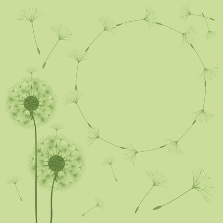 Abstract background of a dandelion for design.  The wind blows the seeds of a dandelion. Template for posters, wallpapers, posters. Vector illustrations.のイラスト素材