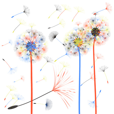 Dandelion for design. Abstract background . The wind blows the seeds of a dandelion. Template for posters, wallpapers, posters. Vector illustrations.のイラスト素材