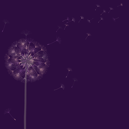 Abstract background of a dandelion for design.  The wind blows the seeds of a dandelion. Template for posters, wallpapers, posters. Vector illustrations.のイラスト素材
