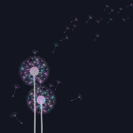 Dandelion for design. Abstract background . The wind blows the seeds of a dandelion. Template for posters, wallpapers, posters. Vector illustrations.のイラスト素材