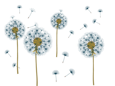 Dandelion background for your design. The wind blows dandelion seeds. Template for posters, wallpapers, cards. Vector illustration.のイラスト素材