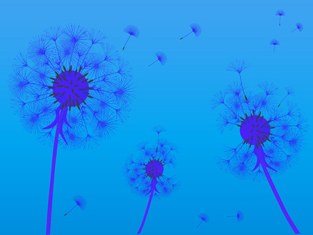 Dandelion background for your design. The wind blows dandelion seeds. Template for posters, wallpapers, cards. Vector illustration.のイラスト素材