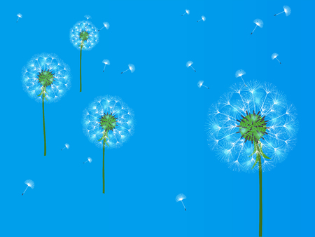 Dandelion background for your design. The wind blows dandelion seeds. Template for posters, wallpapers, cards. Vector illustration.のイラスト素材