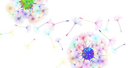 Dandelion background for your design. The wind blows dandelion seeds. Natural background. Brochure creative design. Vector template.のイラスト素材