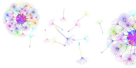 Dandelion background for your design. The wind blows dandelion seeds. Natural background. Brochure creative design. Vector template.のイラスト素材