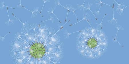 Dandelion background for your design. The wind blows dandelion seeds. Floral background. Brochure creative design. Vector template.のイラスト素材