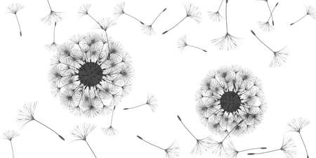 Dandelion background for your design. The wind blows dandelion seeds. Floral background. Advertising flyer brochure. Vector template.のイラスト素材