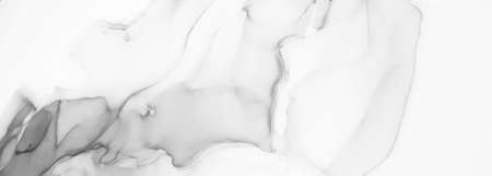 Banner. Abstract Effect. Vintage illustration with grayscale watercolor for decoration design. Modern art. Silver smear surface. Abstract print.の写真素材