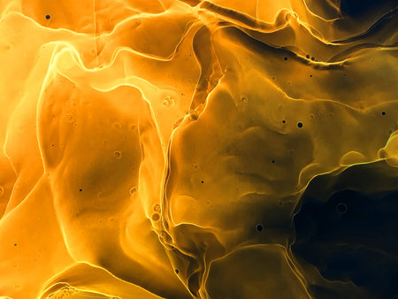 Alcohol ink on a black background. Abstract fluid texture. Elegant digital effect. Black watercolor...
