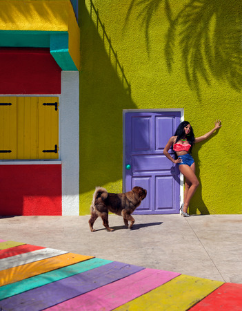Attractive bikini model with dog , tropical travel holiday conceptの写真素材