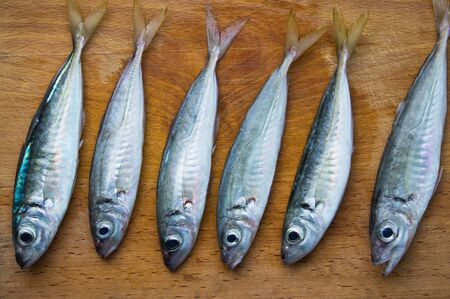 raw fish scad lies on a wooden boardの写真素材