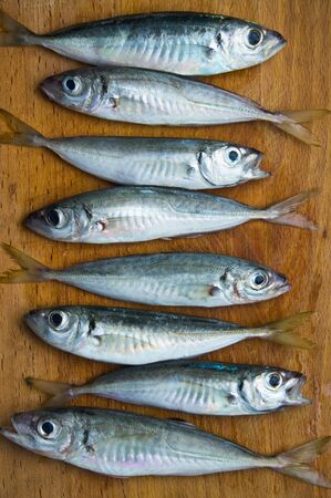 raw fish scad lies on a wooden boardの写真素材