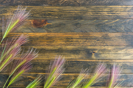 Feather grass on a rough wooden background