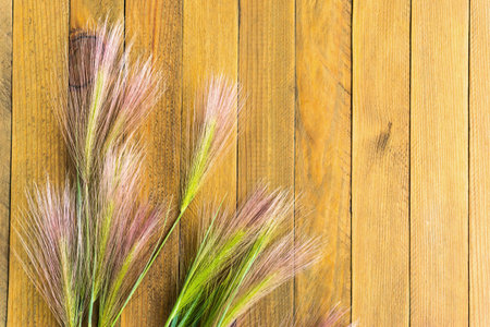 Feather grass on a rough wooden background