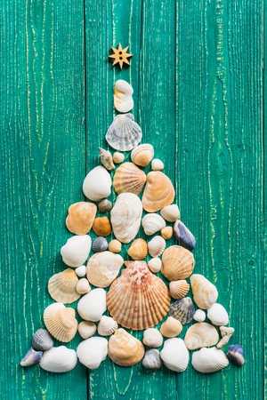 Christmas tree made from seashells on wooden background, top viewの写真素材